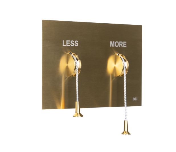 Stainless steel brushed gold